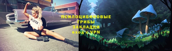 прущая мука Михайлов