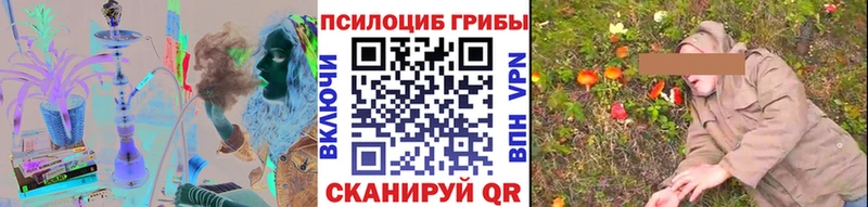 Купить закладки  Элиста  Галлюциногенные грибы Cubensis 